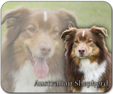 Mousepad Australian Shepherd #11